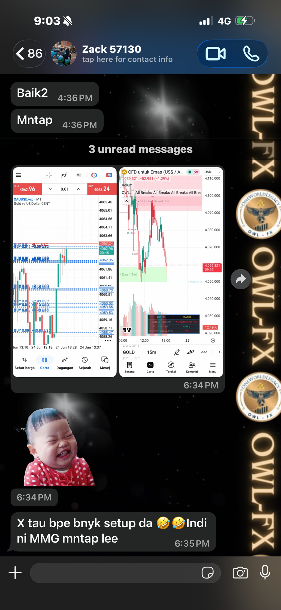 Owl Algo feedback 2